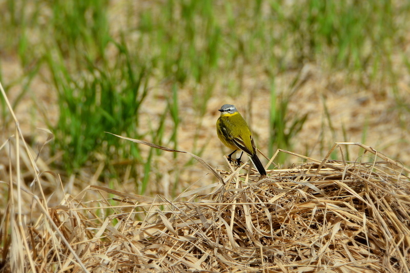    Календарь краеведа