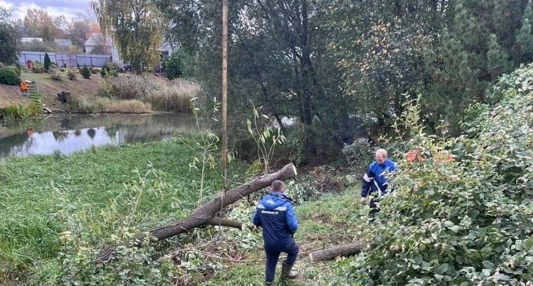    Фото: Минприроды Ярославской области