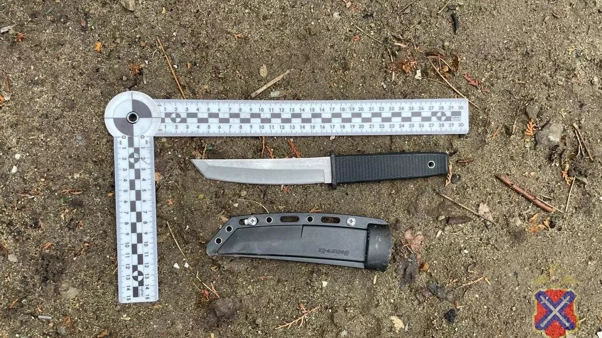     Источник: ГУ МВД по Волгоградской области