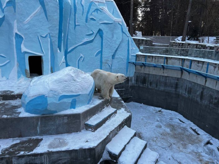 Фото прокуратуры НСО.