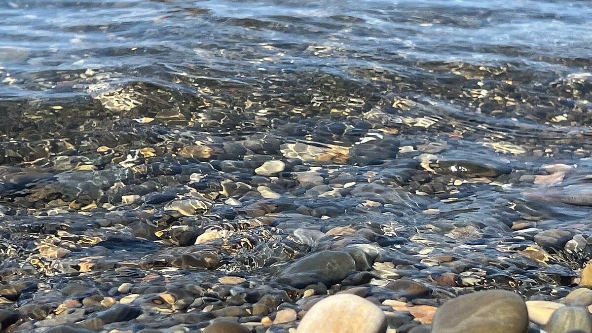    Фото: телеканал «Краснодар»