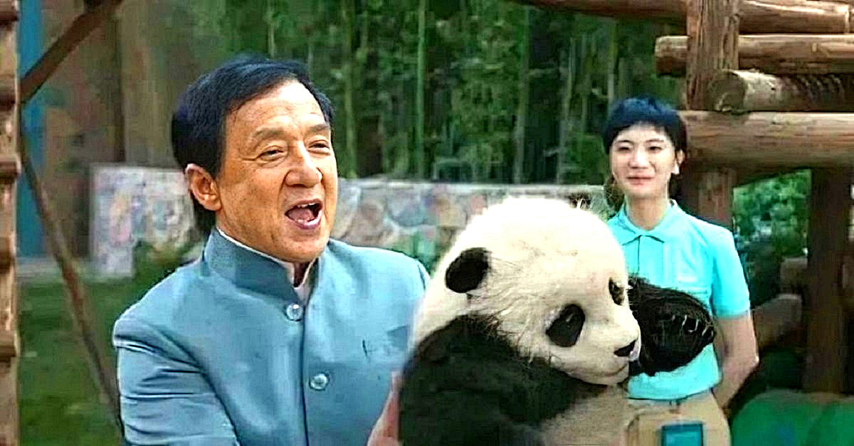 "- Михалыч!.. А мы думали - медведь..."© Цитата про другого медведя