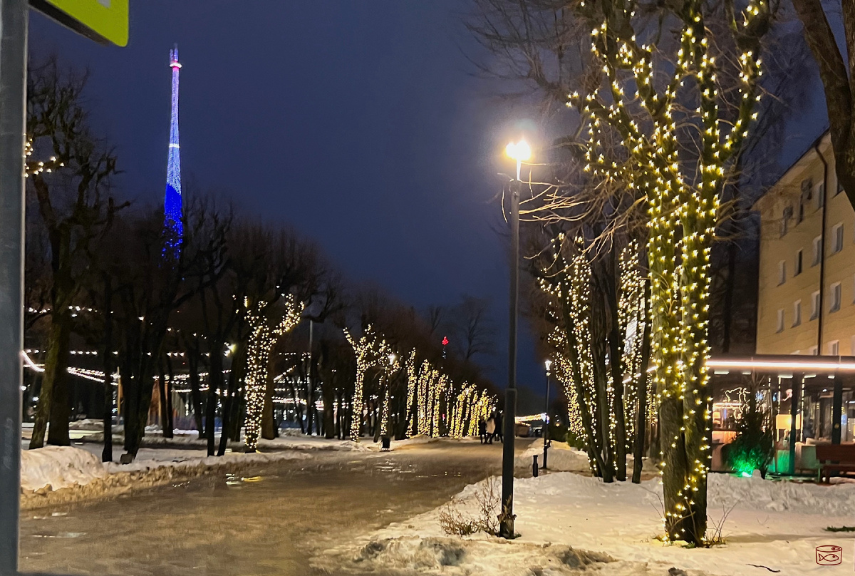 У нас так красиво подсветили город к праздникам, но погода не позволили сделать нормальные фото