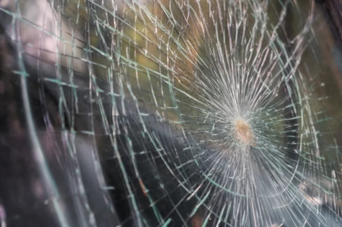    В Казани неизвестные обстреляли припаркованный во дворе автомобиль