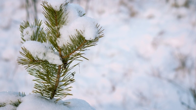 Фото: @marina_martyanova / freepik.com