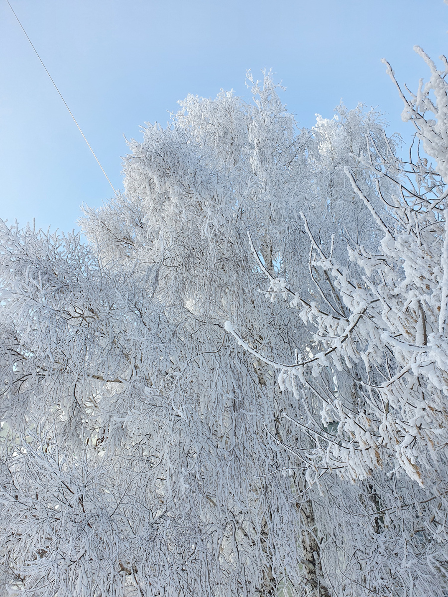 рядом с домом