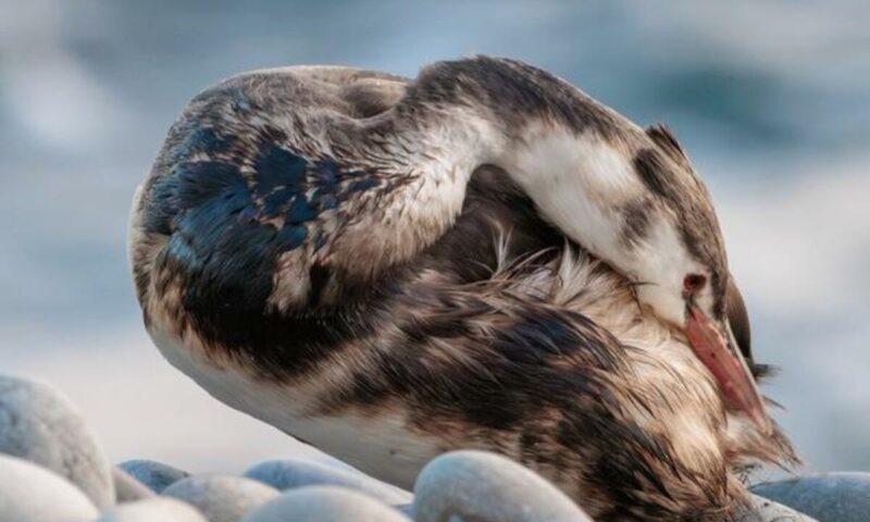    Фото пресс-службы администрации Новороссийска