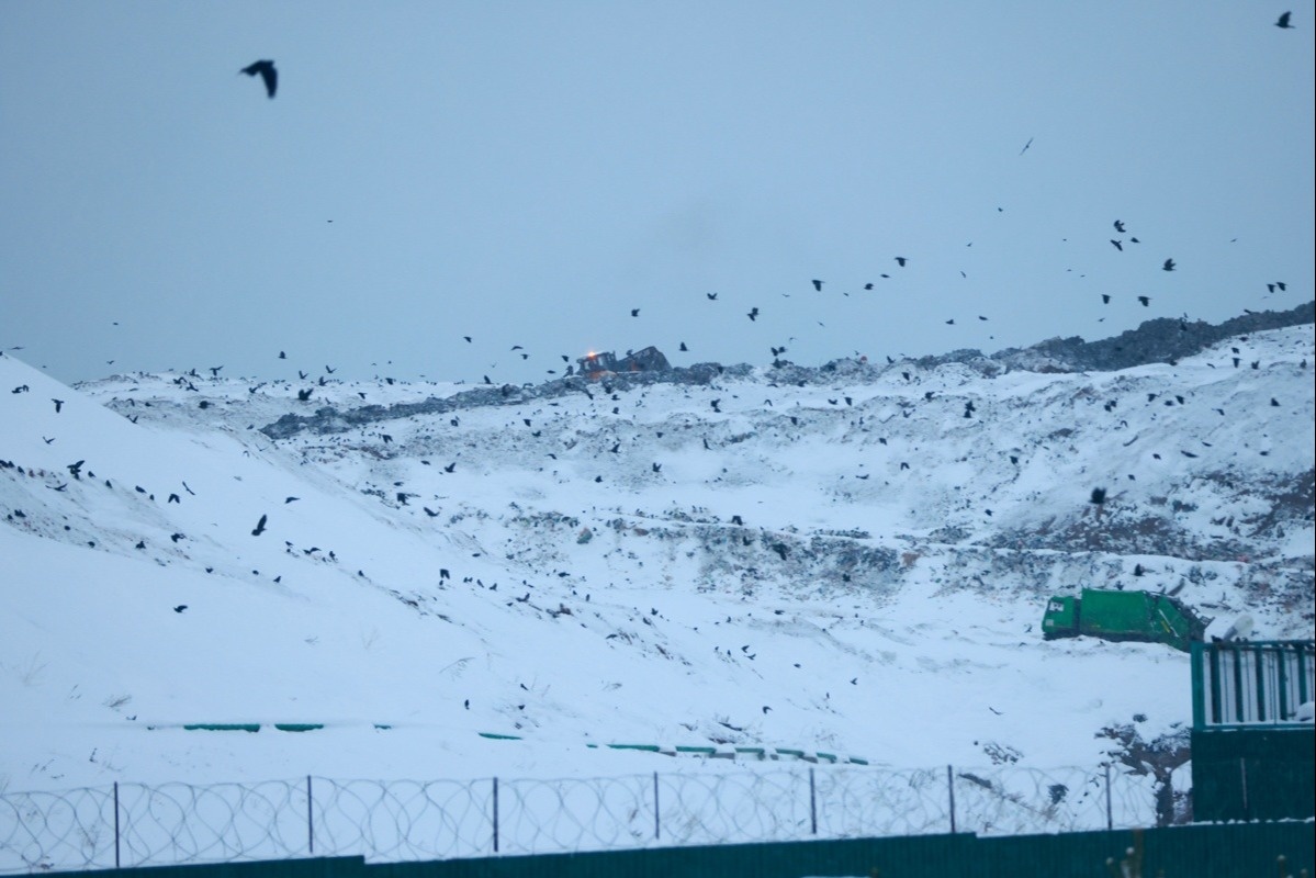 Автор фото: Павел Хацаюк / ИД «Вечерняя Казань»