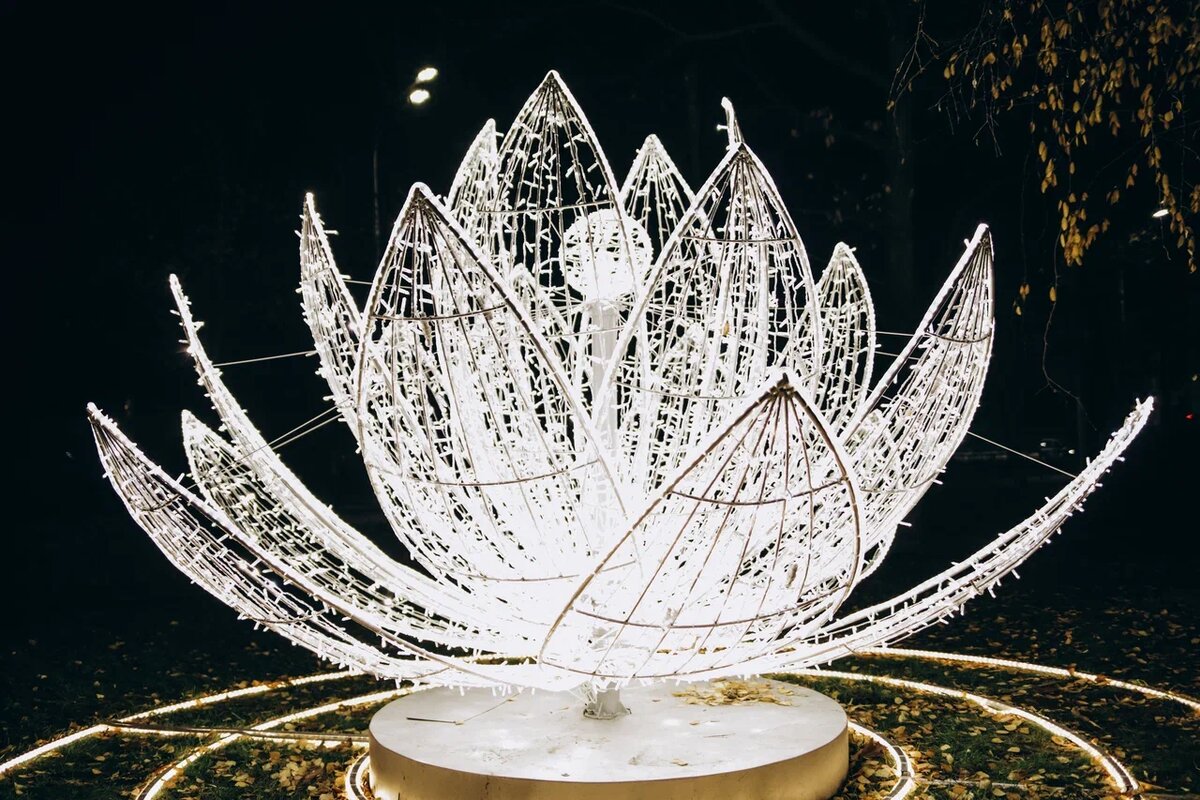 Фото: Эльвира Мясищева