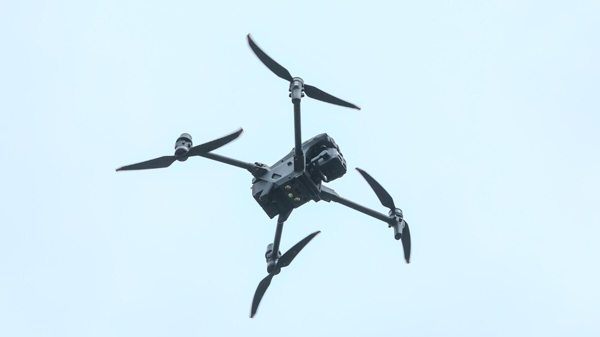    Фото: Petrov Sergey/news.ru