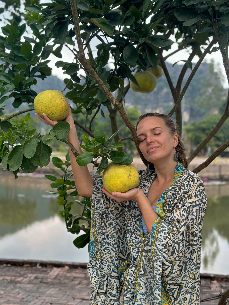 Собираю декабрьский урожай помело в северном Вьетнаме