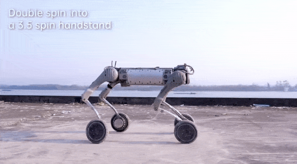   Unitree Robotics / Youtube