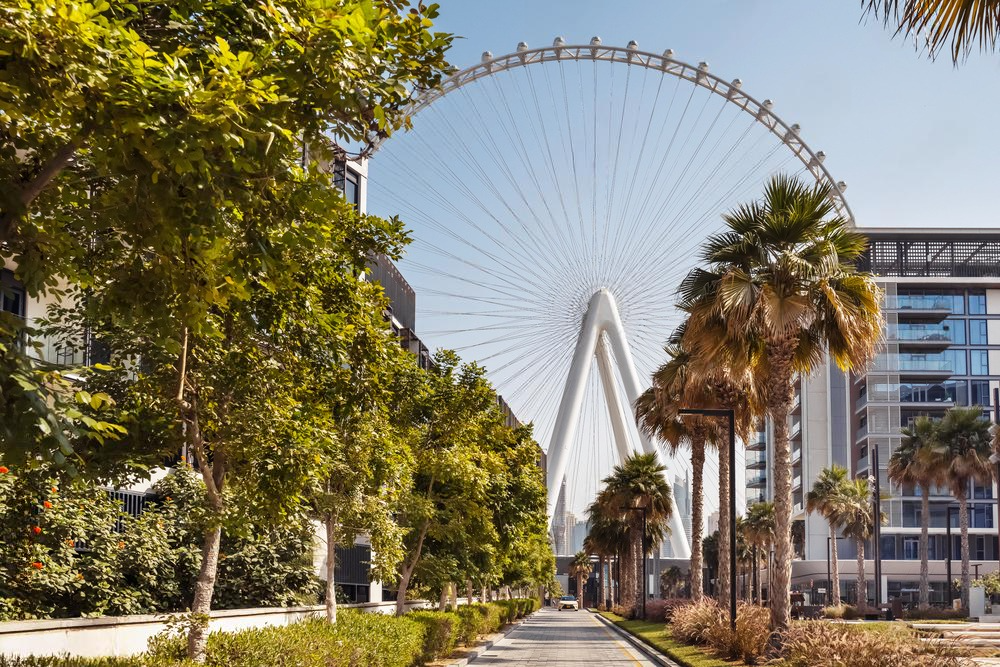 Источник: https://stock.adobe.com/ru/