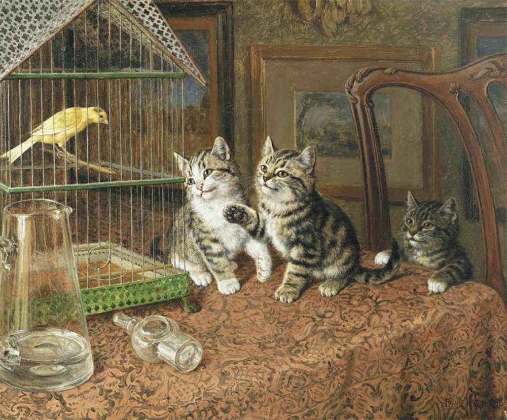  .    , 1895