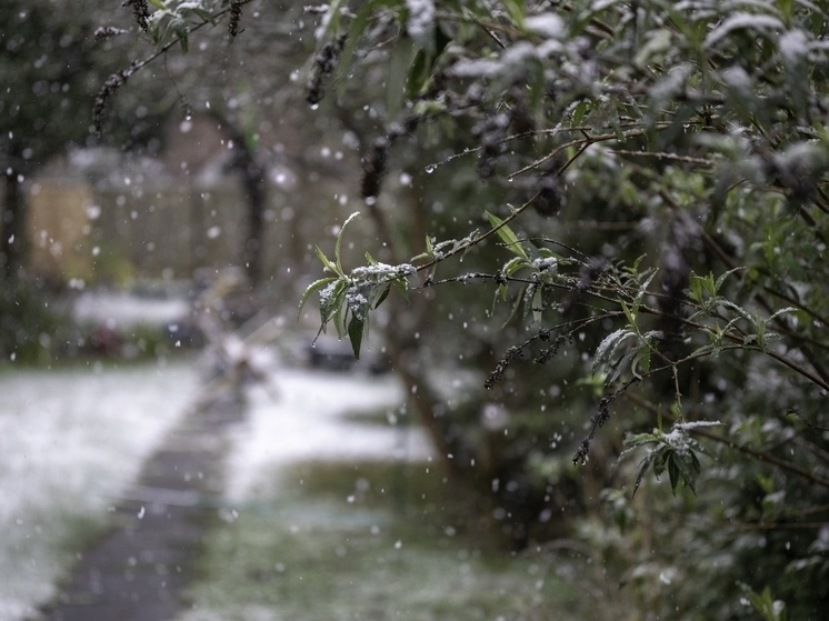     Фото: wirestock на Freepik