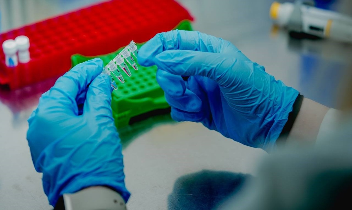 ПЦР-смесь раскапывают по пробиркам с помощью дозатора. Источник: Сергей Баринов