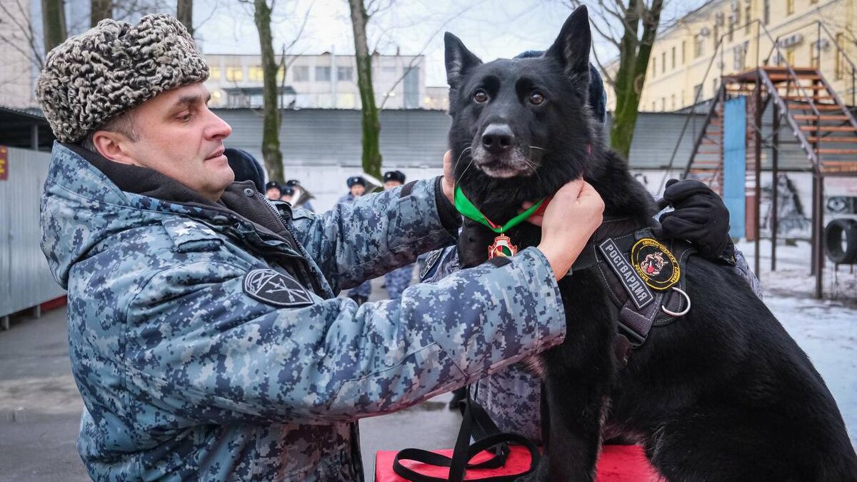    Фото: t.me/rosgvardszo