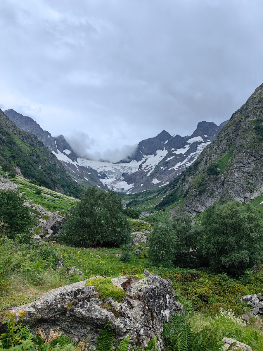 Ущелье Птыш, на маршруте. Леса в ущелье мало. Но молоденькие березки и рябинки будут попадаться довольно часто