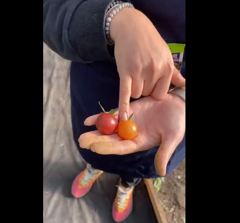 Слева - в тени, справа - на солнце