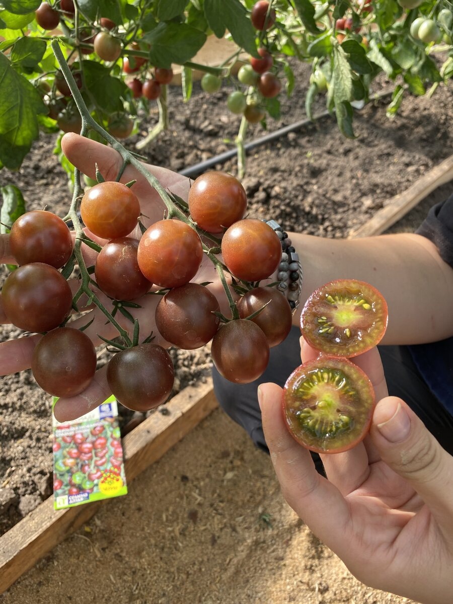 Разрез, в который невозможно не влюбиться