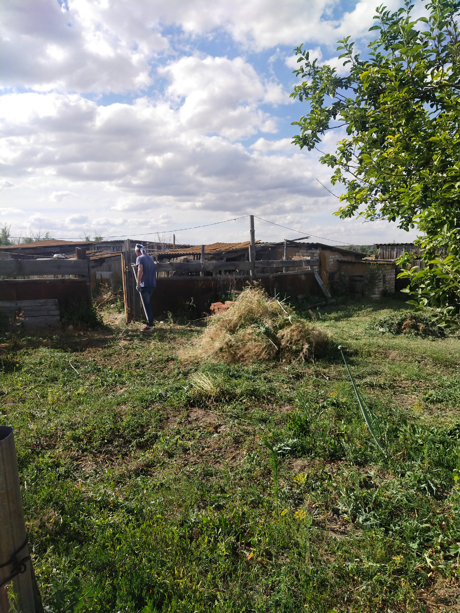 Убирали высокую траву.