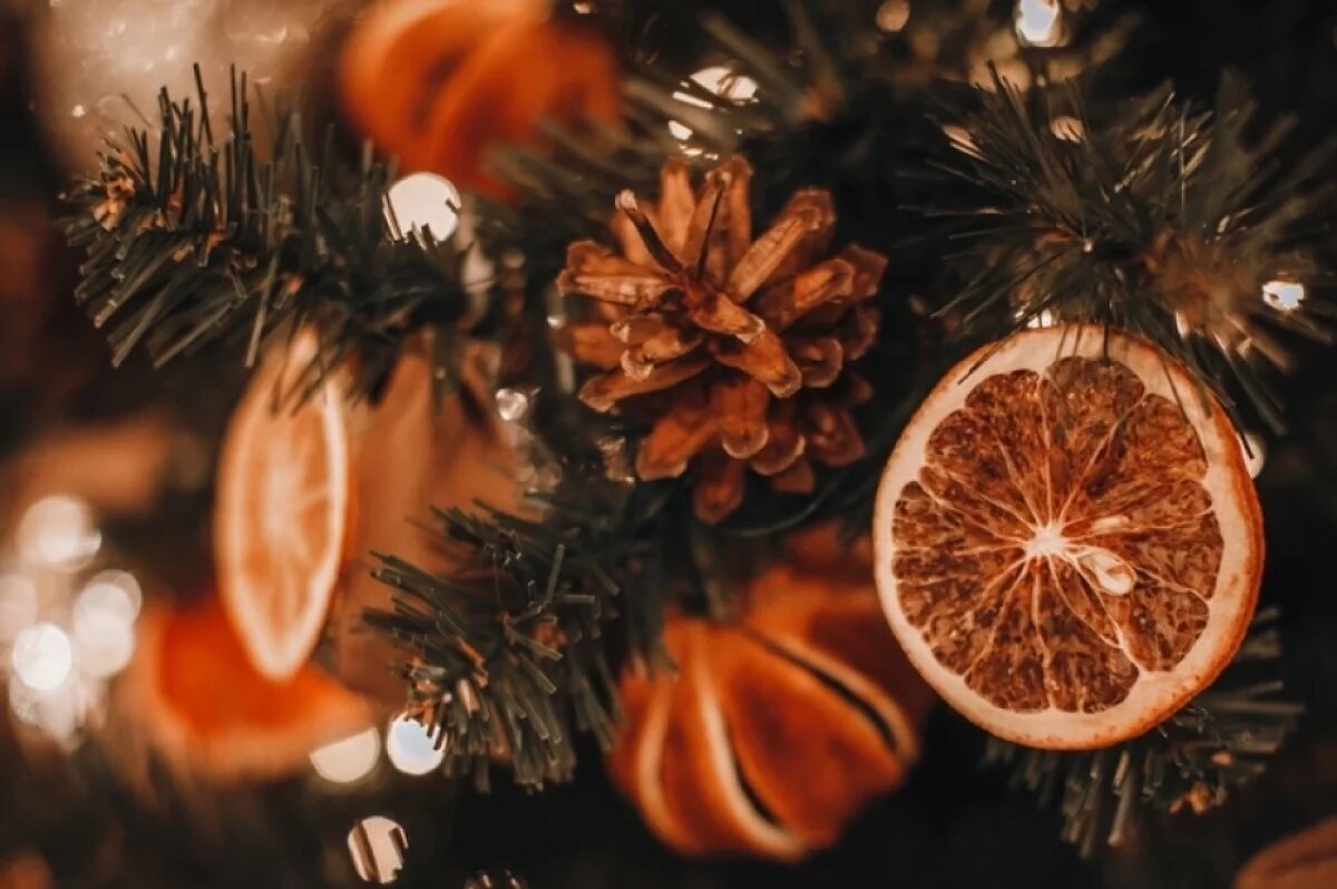    Сушеные апельсины и птицы.