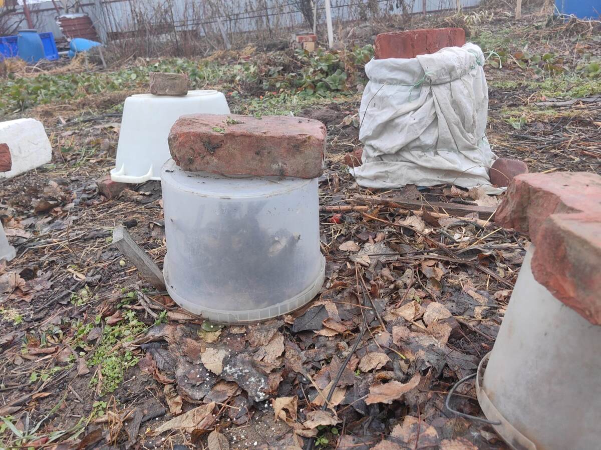 Фото Натальи Мироновой