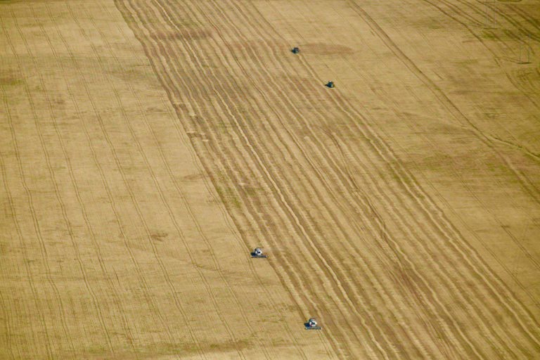    Губернатор Денис Паслер подвёл итоги сельскохозяйственного года Оренбуржье