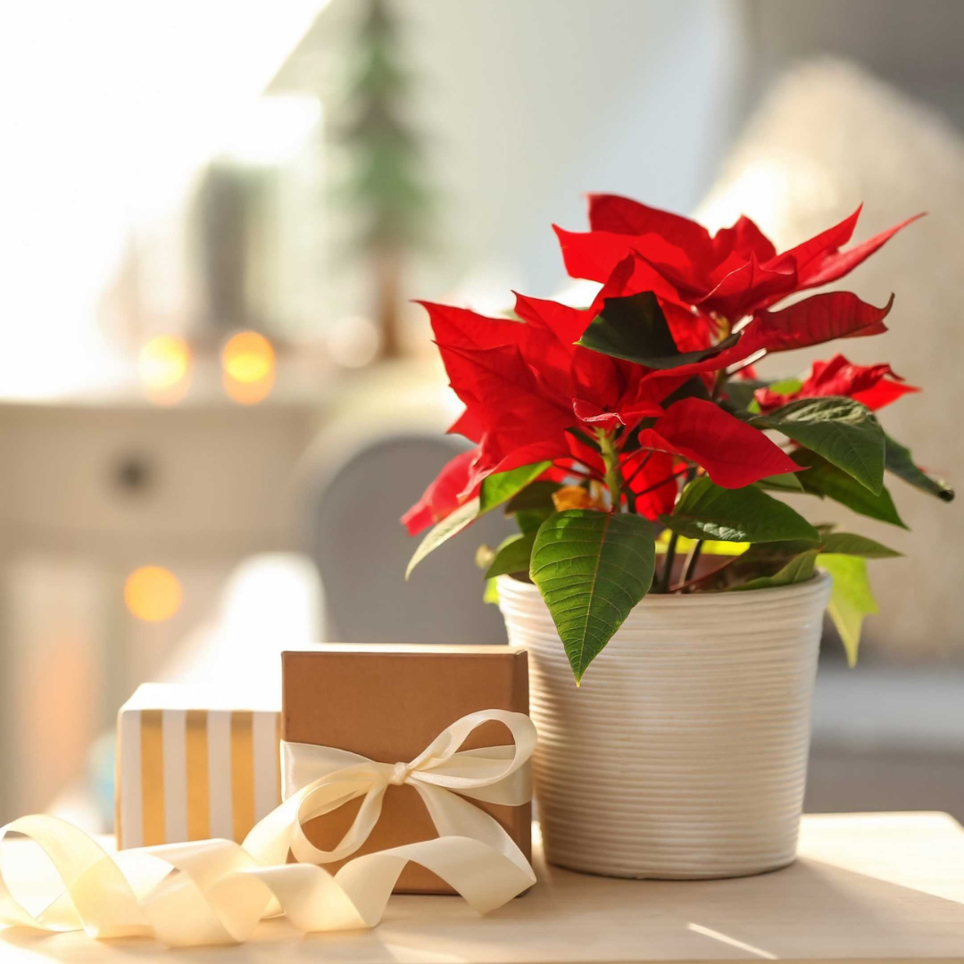 Листайте галерею по стрелке вправо