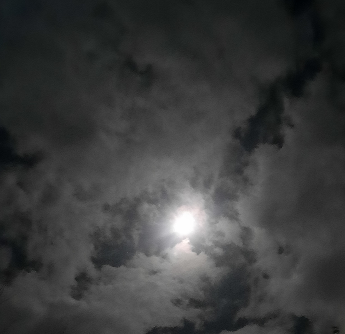 Полнолуние. Фото автора 