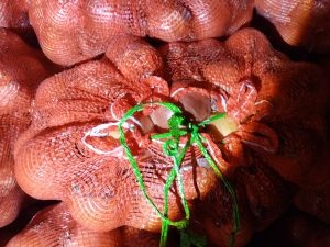 Фото: пресс-служба Уральского межрегионального управления Россельхознадзора