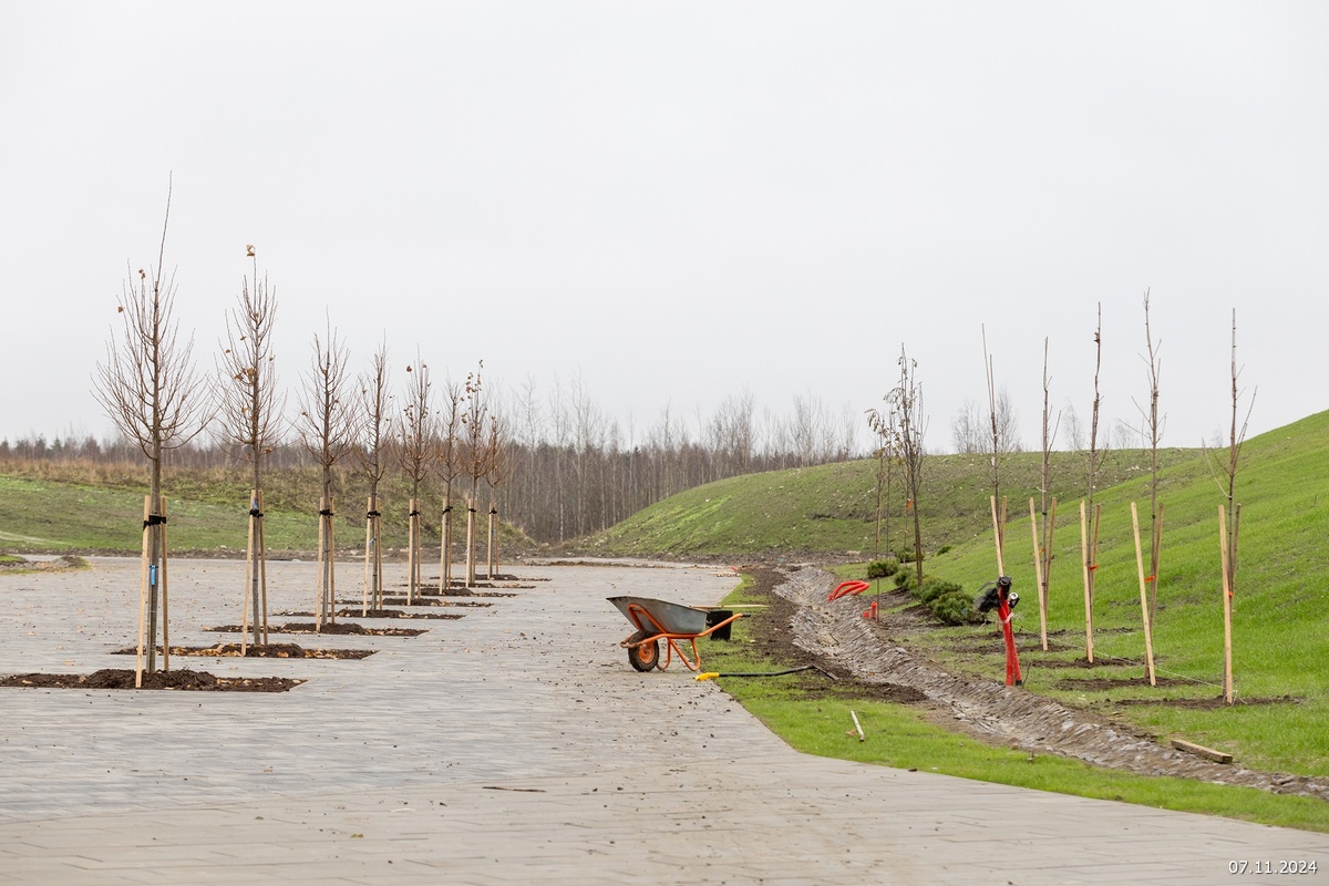 *Картинки взяты из социальных сетей экорайона «Юнтолово»
