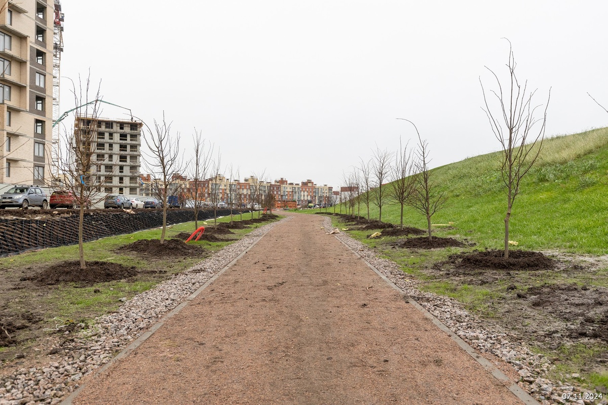 *Картинки взяты из социальных сетей экорайона «Юнтолово»