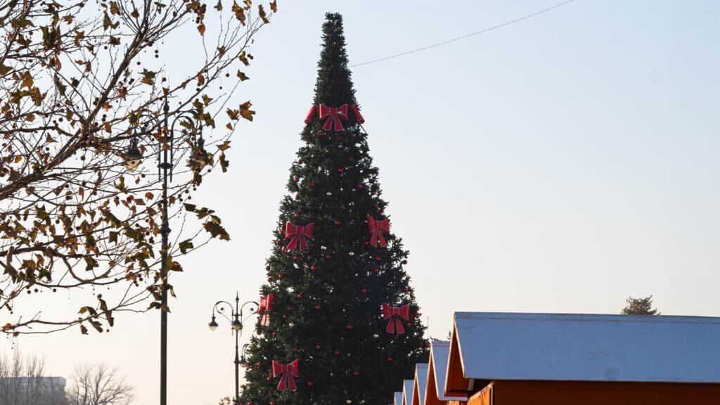    Делия Айдаралиева, бильд-редактор: Артур Алескеров