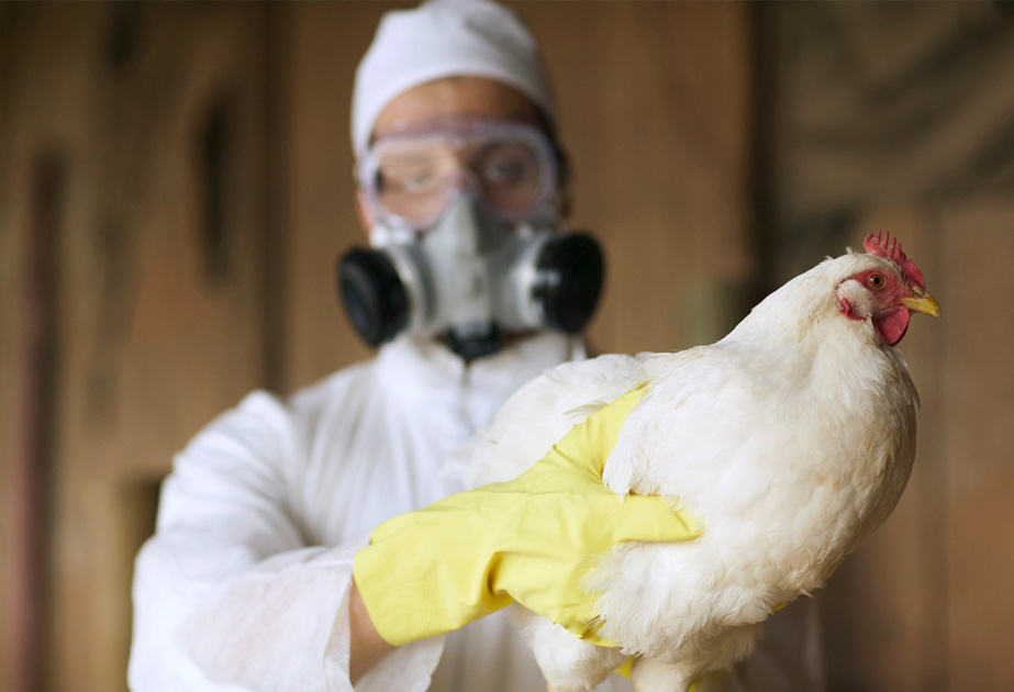 Фото взято из открытых источников