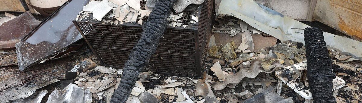    Фото: Антон Вергун