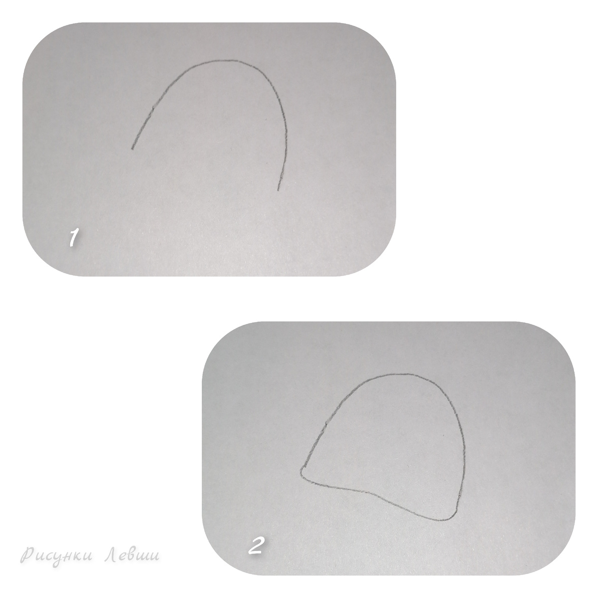 Рисунки автора 