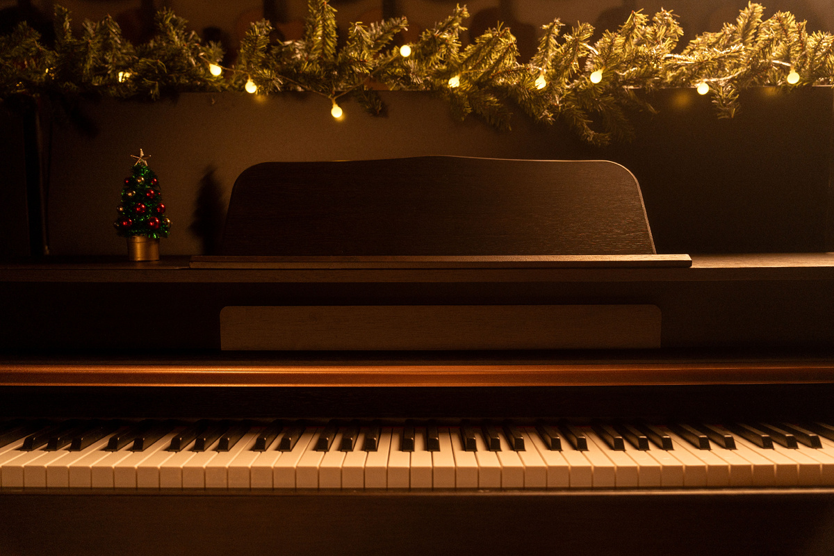 Цифровое фортепиано Antares W-500 BR