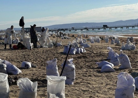    Чёрное море и побережье Кубани загажены мазутом на сотни километров