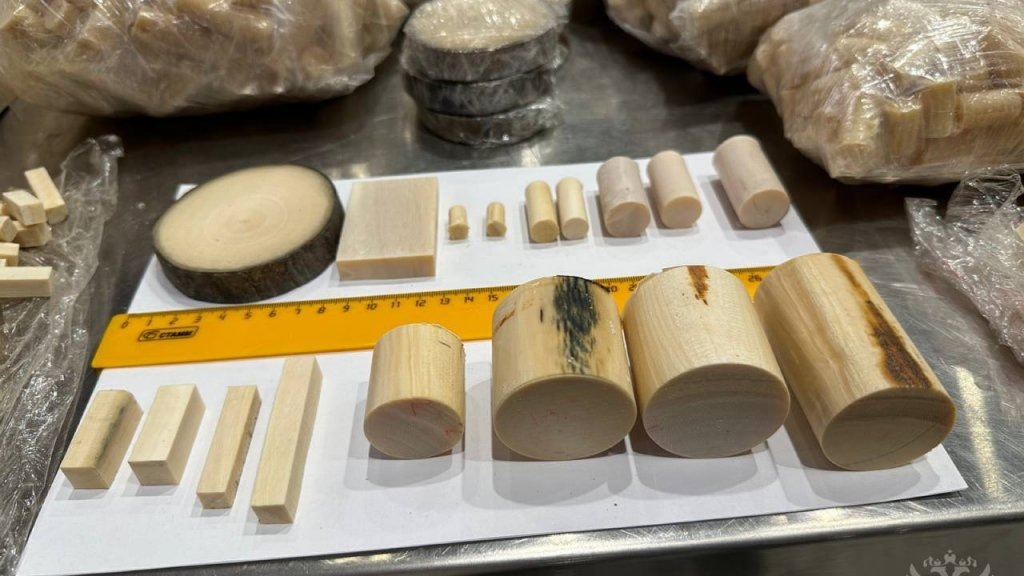    Фото: ФТС РФ