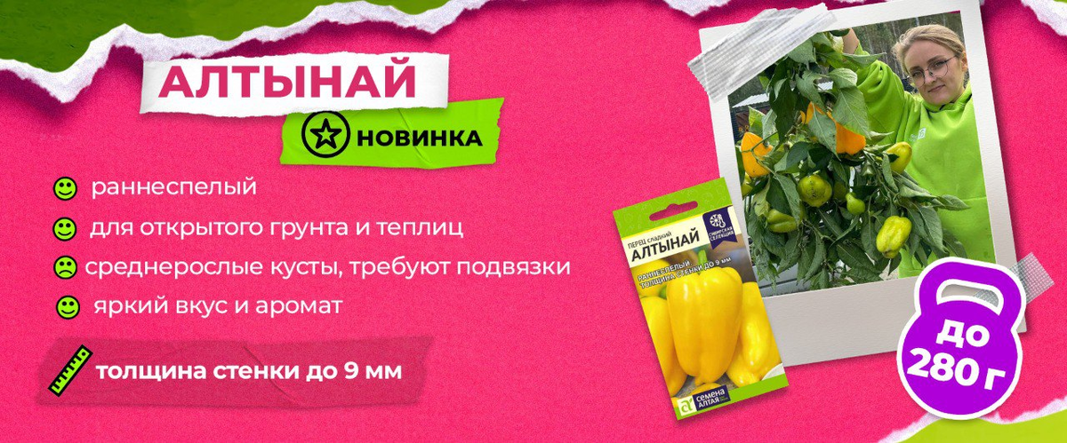 Чтобы найти сейчас. Чтобы найти сейчас