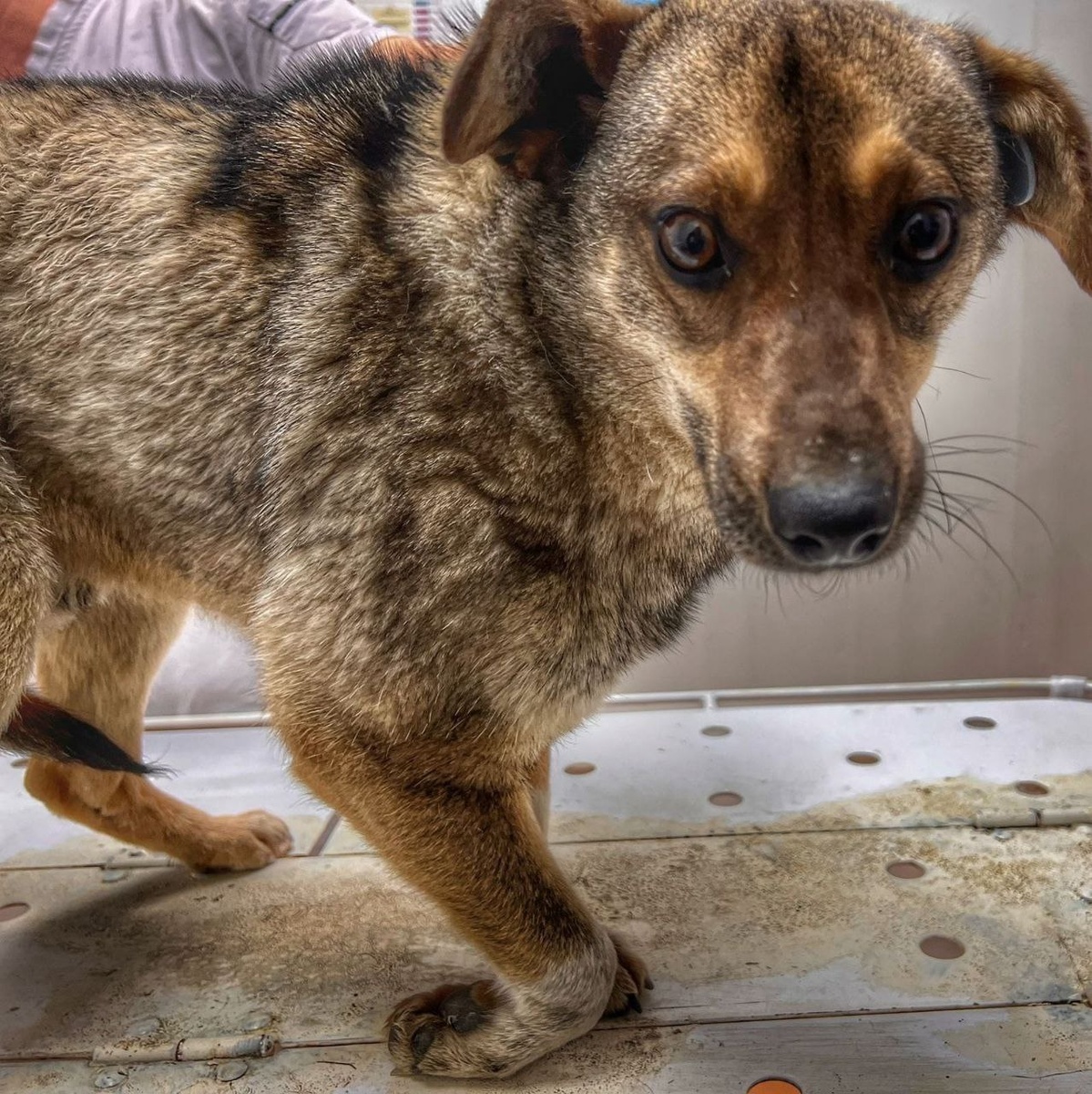 Бедняга при поступлении...