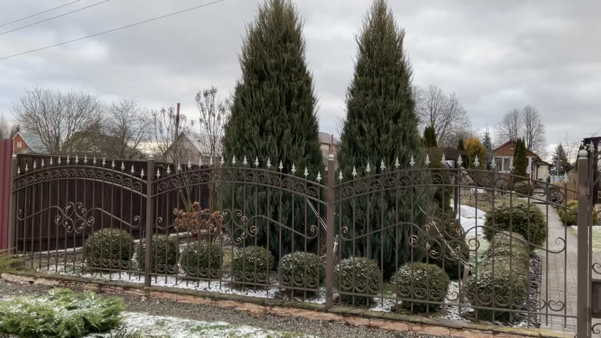 04.02.25 вот такая зима!