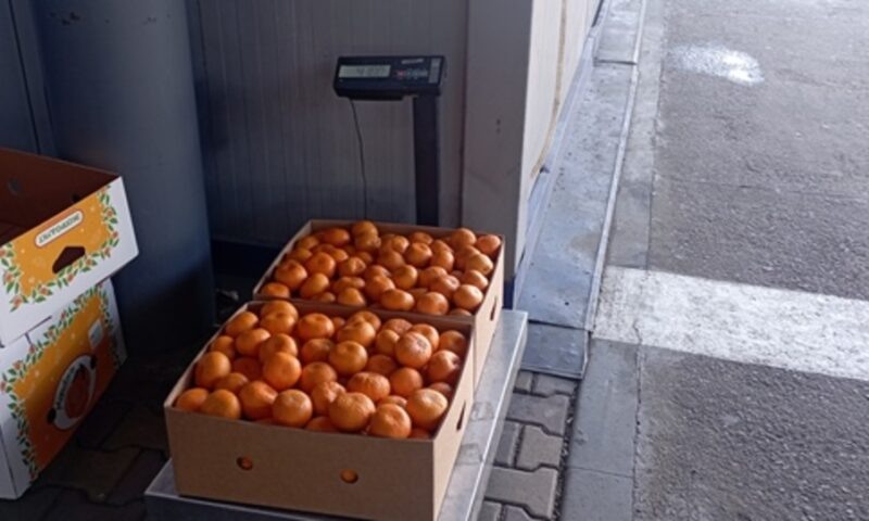    Фото пресс-службы Краснодарской таможни