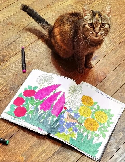 А Фрося главная по раскраскам