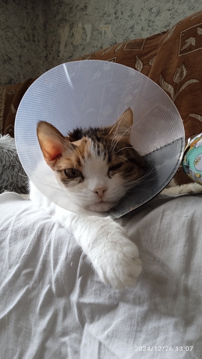 Снят дренаж