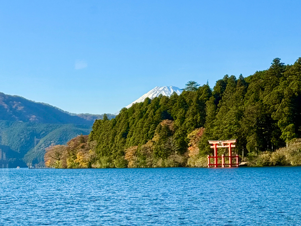 Тории синтоистского храма Хаконе-дзиндзя, Токио