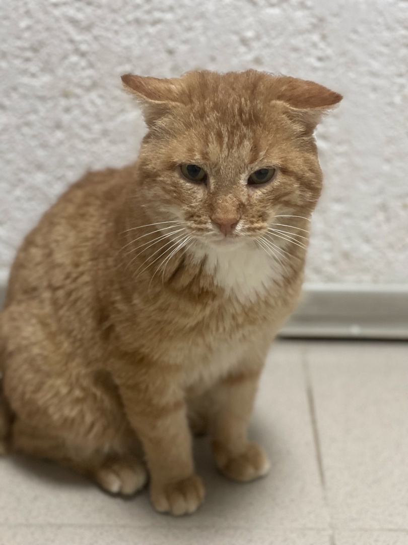 Саид сейчас