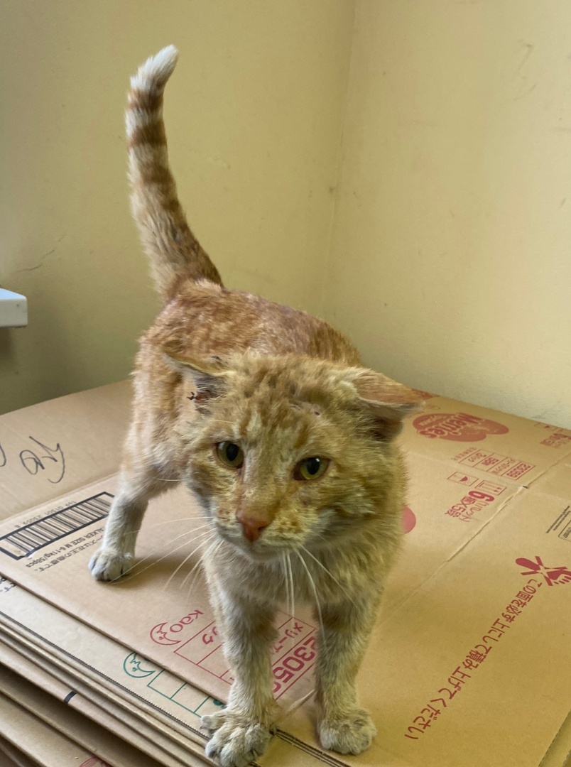 Саидик только к нам приехал