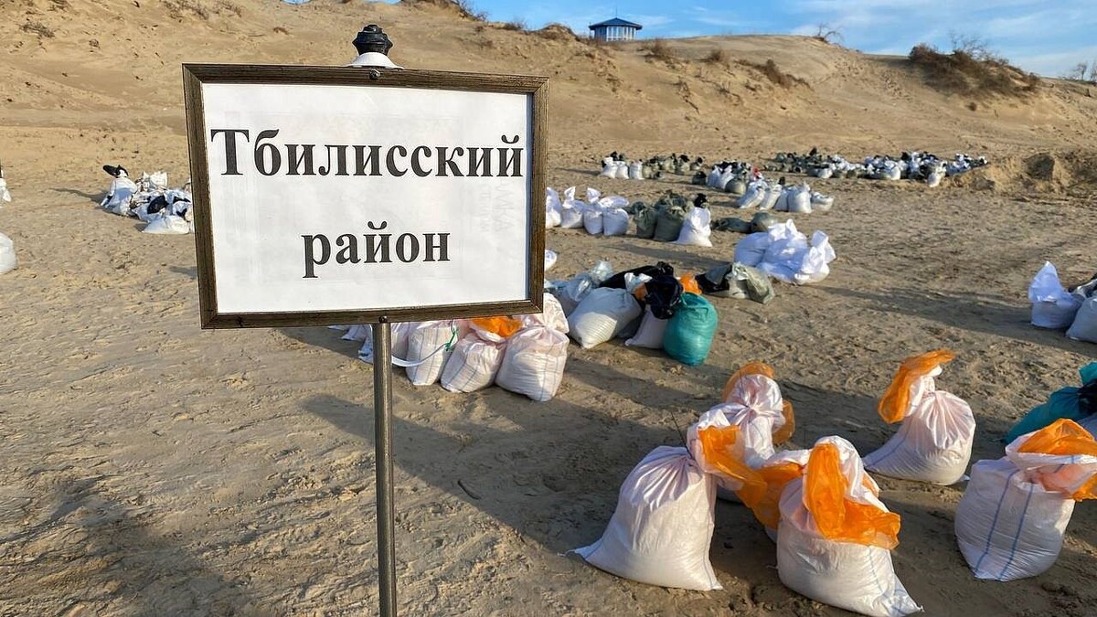    Фото: телеканал «Краснодар»